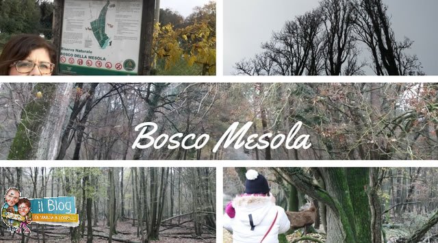 Bosco Mesola